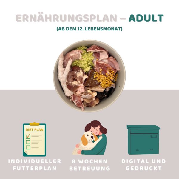 Ernährungsplan - Adult (ab dem 12. Lebensmonat) [Digital]