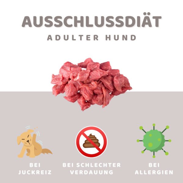 Ausschlussdiät - Adulter Hund [Digital]
