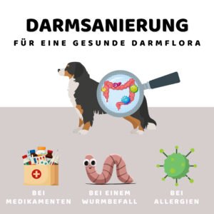 Darmsanierung für Hunde [Digital]